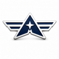 Custom star wing logo lapel pin with deep navy baked enamel